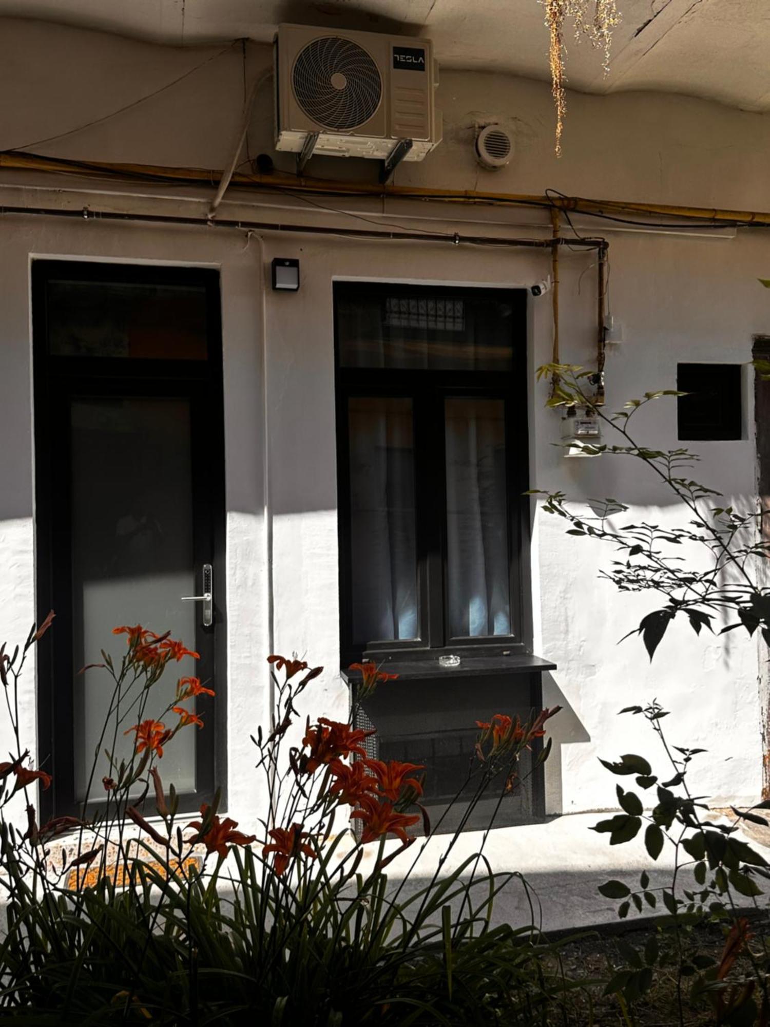 Jais Home-Moon Apartment Old Town Cluj Napoca Bagian luar foto